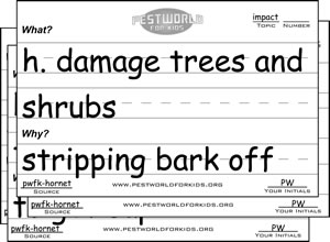 Stack Impact