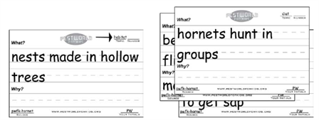 Step 4 Notes Stacks