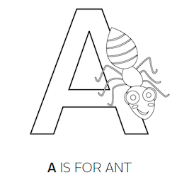 insect facts bug activities for pre k school students