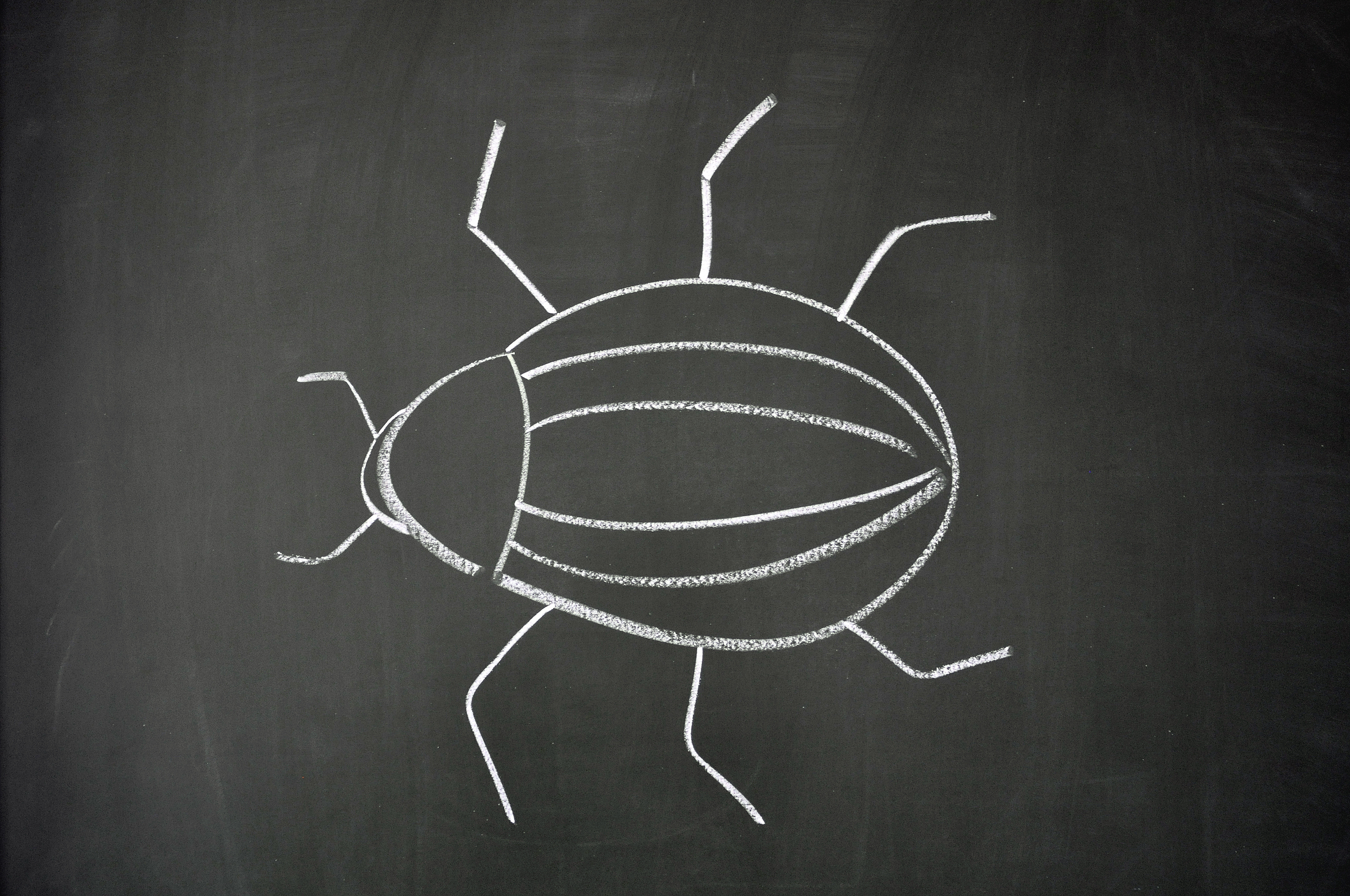 Middle School Science Fair Projects - Insect Lesson Plans