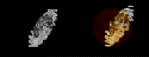 Bugs Use Light Sources Like the Moon to Navigate - Why Are Bugs Attracted to Light?