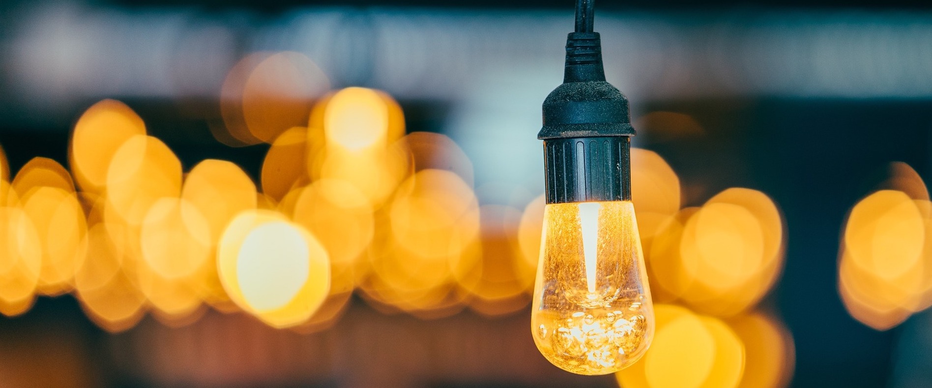 Why Are Bugs & Insects Attracted to Light? - For Kids