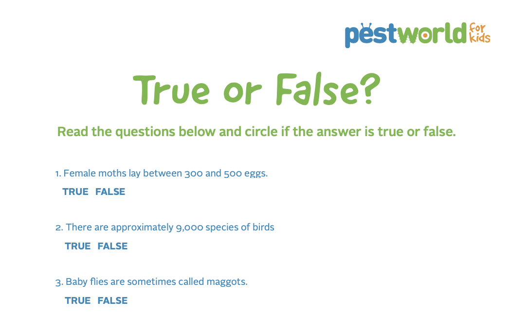 True quizzes. True or false Quiz.