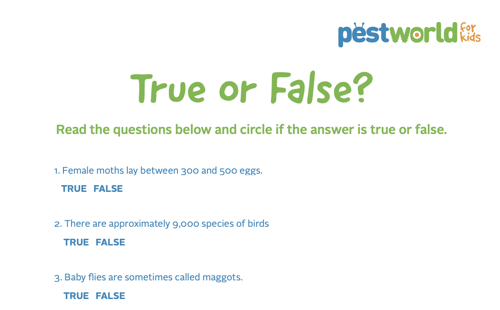 understanding true and false questions