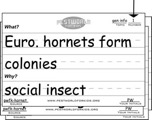 Note Numbering